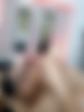 AnayRaul1's Webcam Show