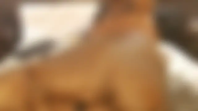 sexybigasss' Webcam Show