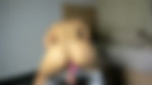 Salytexas' Webcam Show