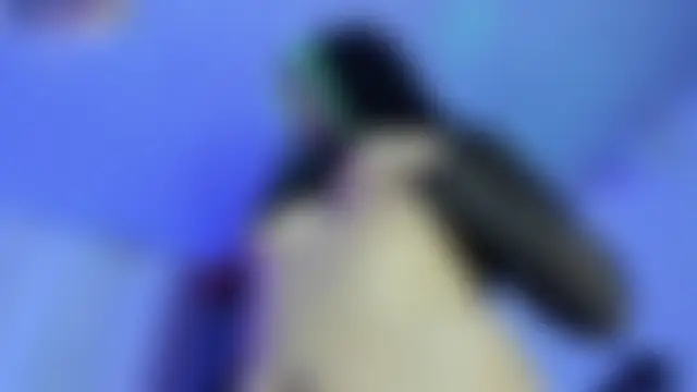 midory_ Webcam-Show
