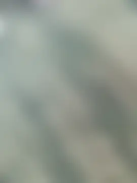 Best-Couple's Live Sex Cam Show