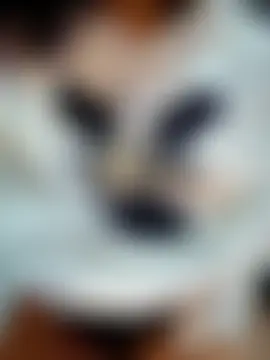 kitty_2000's Live Sex Cam Show
