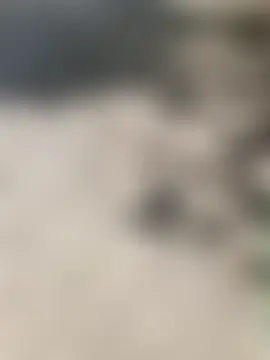 twitshe's Live Sex Cam Show