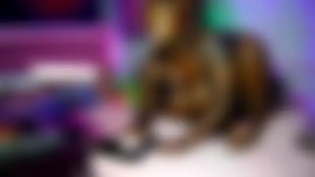 Tatithegoddess' Live Sex Cam Show