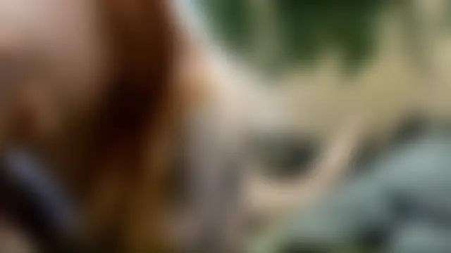 AnitaVanruiten's Live Sex Cam Show