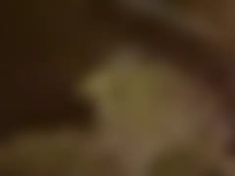 newjam's Webcam Show