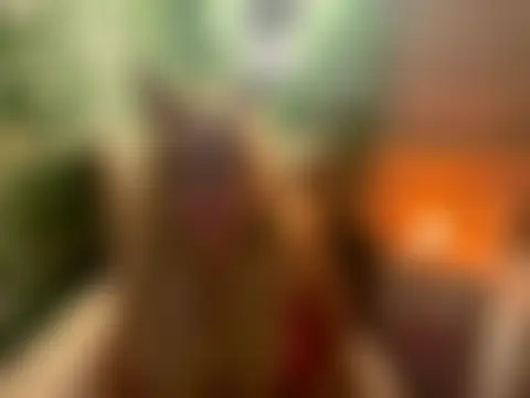 BonnyDesire's Live Sex Cam Show