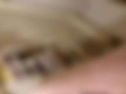 RosieMilff's Live Sex Cam Show