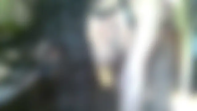 Keikorose's Live Sex Cam Show