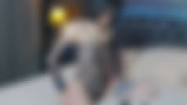 EmmaStarkk's Live Sex Cam Show