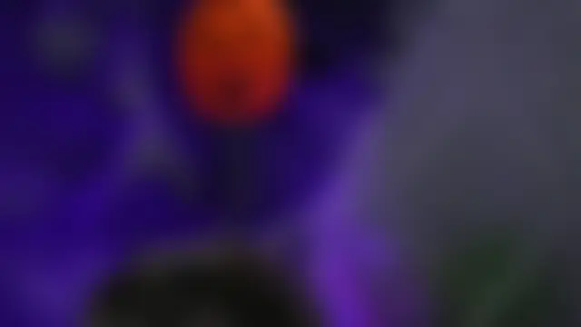 AnaisLeblanc's Live Sex Cam Show