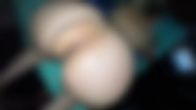 Elithee__ass___'s Webcam Show