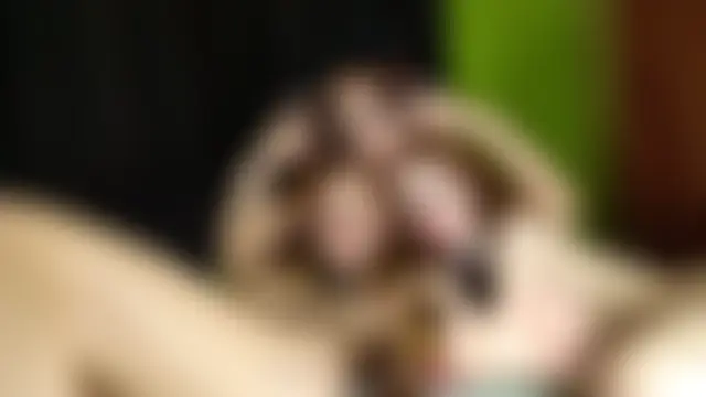 Pinkypupa-Love's Live Sex Cam Show