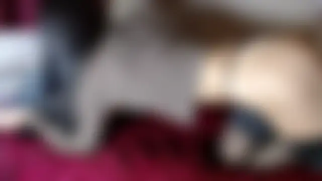 LegameKarmico's Live Sex Cam Show