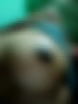 Shiya_janu's Live Sex Cam Show