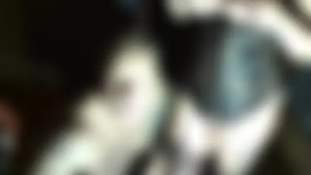 Reggie_roxie's Live Sex Cam Show