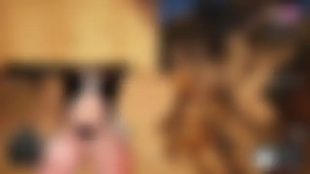 baileymonarch's Webcam Show