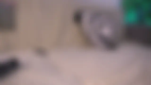 MaryBrent_ Videochat live