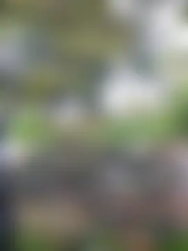 Christangel96_ Pertunjukan Kamera Seks Langsung