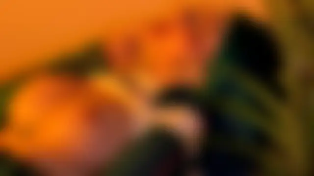 _vixenp 网络视讯表演