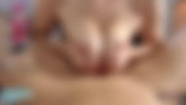 Felice_Favn's Webcam Show