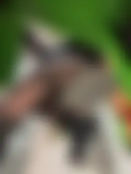 Miia_Jazmin's Webcam Show