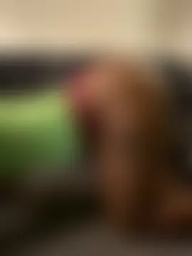 browncurvygirl's Webcam Show