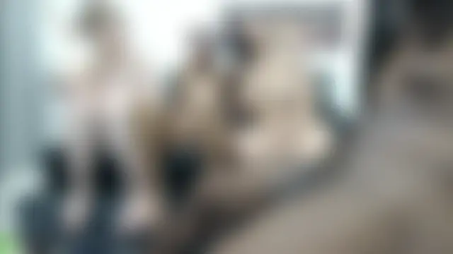 StudioWahines' Live Sex Cam Show