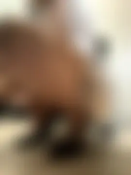 Hii_Lolla's Webcam Show