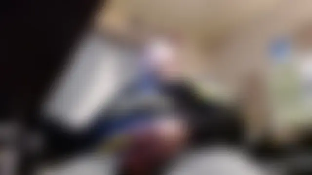 Show Webcam de MegaChip