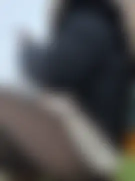 Risky_girl23's Live Sex Cam Show