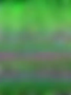 MistiSavannah's Live Sex Cam Show