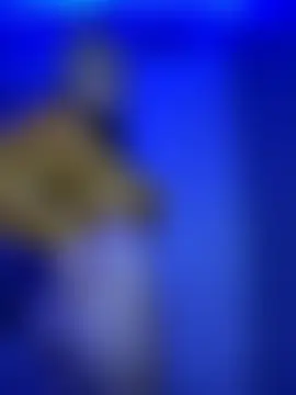 Cutiepiespanks' Live Sex Cam Show