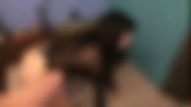 sexycouplesexx's Live Sex Cam Show