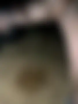 royalgirls_x's Webcam Show