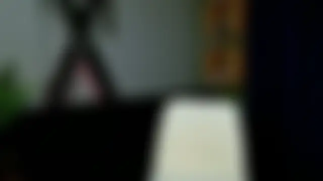 Show webcam de Morgenstern_