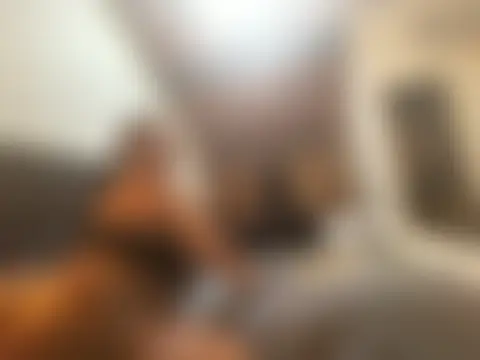 odbodu's Webcam Show