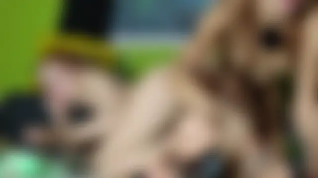 Pinkypupa-Love's Live Sex Cam Show