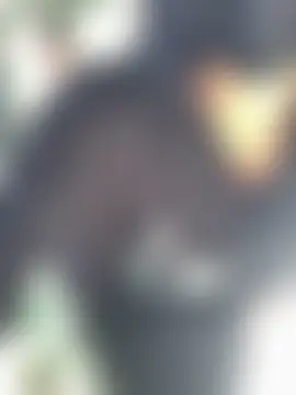 Tieuvi_18 Show Webcam