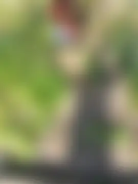 shaoshao-7758's Live Sex Cam Show