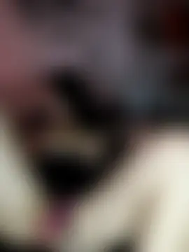 MissMia19's Webcam Show