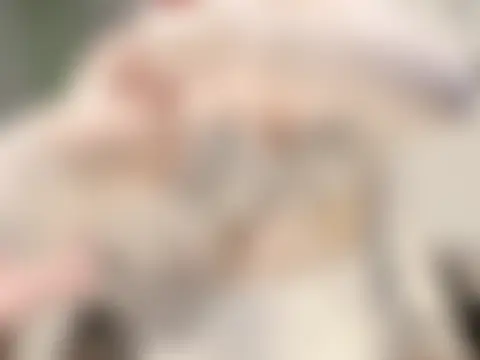 Eva-Public Show Webcam