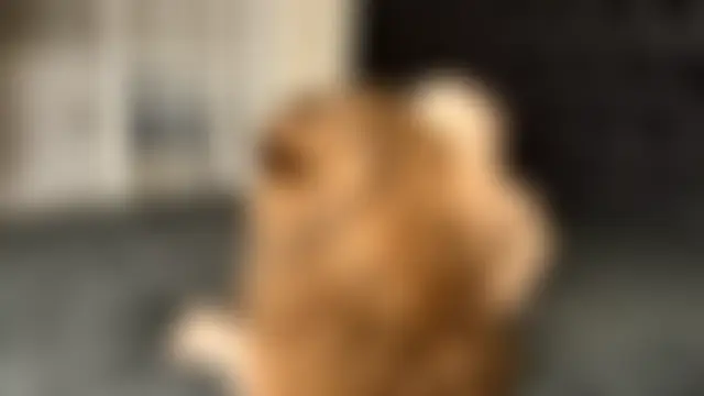 Lovely_Bunnyhot's Live Sex Cam Show