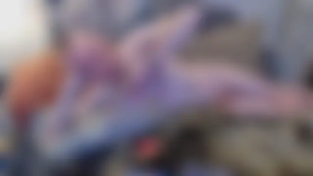 pyrowuff's Webcam Show