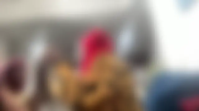 LawChat2025's Webcam Show