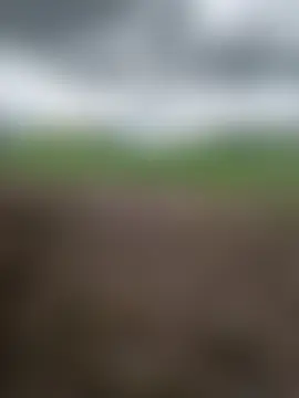 Sam_pablo21's Live Sex Cam Show