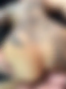 Evamendez02's Live Sex Cam Show