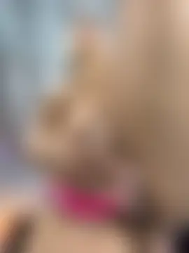 MystiqueXXX's Webcam Show