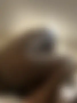 Backshort11's Webcam Show