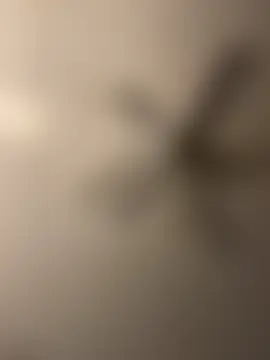 pmonie's Webcam Show